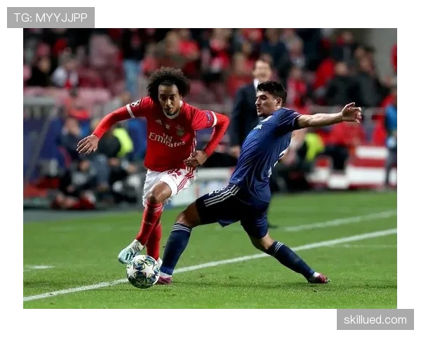 塔瓦雷斯的成长路径：从本菲卡青训到英超的稳步进阶